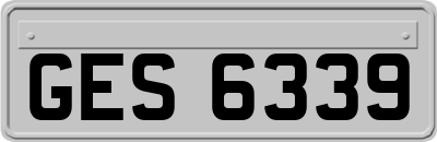 GES6339
