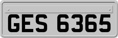 GES6365