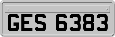 GES6383