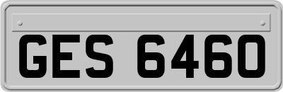GES6460