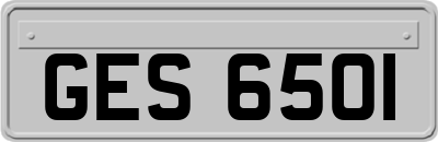 GES6501