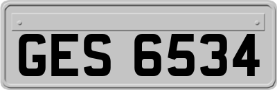 GES6534