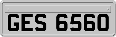 GES6560
