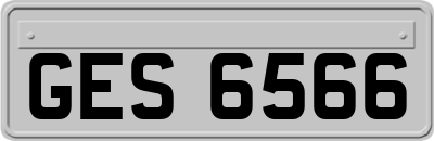 GES6566