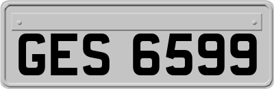 GES6599