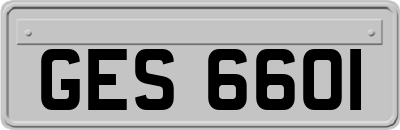 GES6601