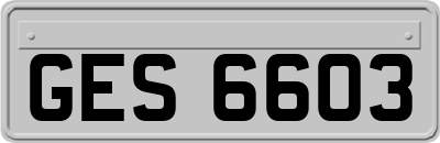 GES6603