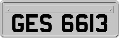 GES6613