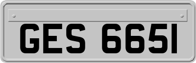 GES6651