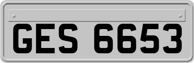GES6653