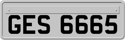 GES6665