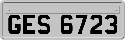 GES6723