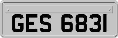GES6831