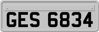 GES6834