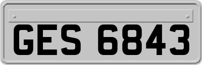 GES6843