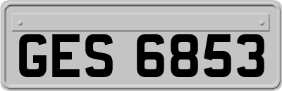 GES6853