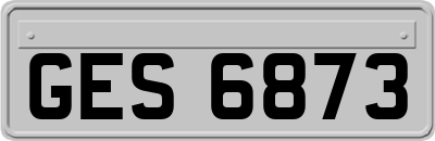 GES6873