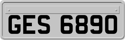 GES6890