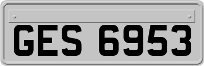 GES6953