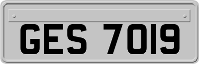 GES7019