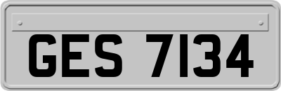 GES7134