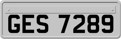 GES7289