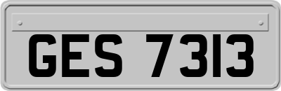 GES7313