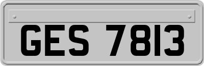 GES7813