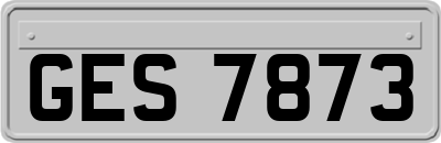 GES7873