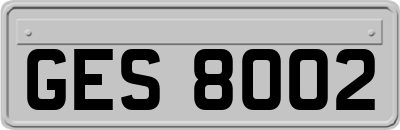 GES8002
