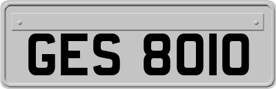 GES8010