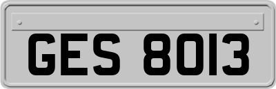 GES8013