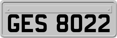 GES8022