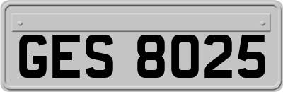 GES8025