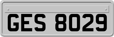 GES8029