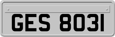 GES8031