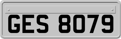 GES8079