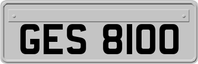 GES8100
