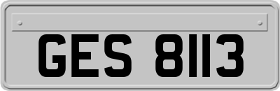 GES8113