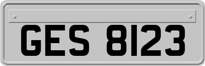 GES8123