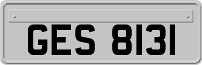 GES8131