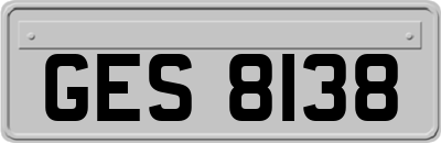 GES8138