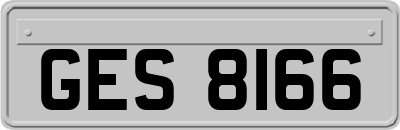 GES8166