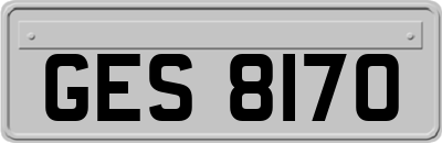 GES8170