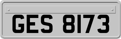 GES8173