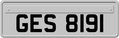 GES8191