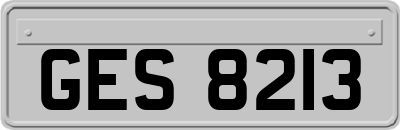 GES8213