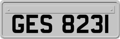GES8231