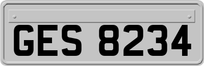GES8234