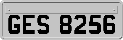 GES8256